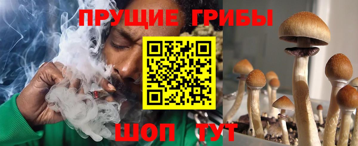 Псилоцибиновые грибы мухоморы  Вход с VPN  Галлюциногенные грибы мицелий  Гусь-Хрустальный 